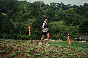 BIB: 
                            <button type="button" onclick="openModal(27024149)" class="btn btn-primary btn-sm float-right btn-popup" data-toggle="modal" data-target=".modal-high-quality">
                        <i class="fas fa-shopping-cart"></i> Add to Cart
                    </button>
                                            <button type="button" onclick="isThisMe(27024149, true)" class="btn btn-success btn-sm float-right btn-popup btn-isme hidden" data-toggle="tooltip" data-placement="bottom" title="นี่คือรูปของคุณใช่ไหม คลิกที่นี่เพื่อเอาเข้าอัลบั้ม">
                        <i class="fas fa-plus"></i> Add to album
                    </button>
                    <button type="button" onclick="isThisMe(27024149, false)" class="btn btn-warning btn-sm float-right btn-popup btn-isnotme hidden">
                        <i class="fas fa-ban"></i> Remove from album
                    </button>